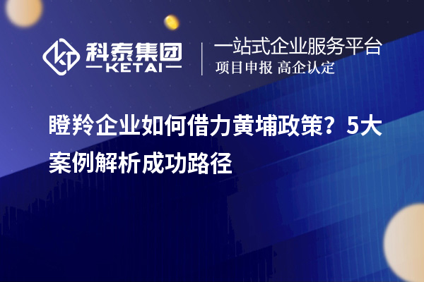 瞪羚企業(yè)如何借力黃埔政策？5大案例解析成功路徑