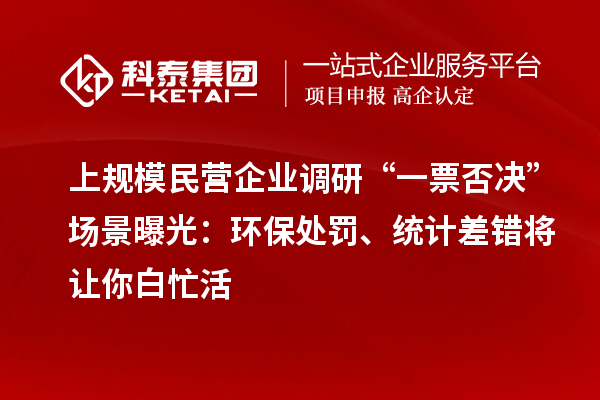 上規(guī)模民營企業(yè)調(diào)研“一票否決”場景曝光：環(huán)保處罰、統(tǒng)計差錯將讓你白忙活
