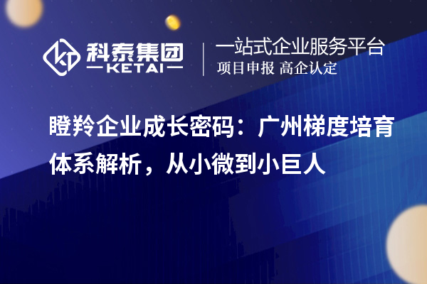 瞪羚企業(yè)成長密碼：廣州梯度培育體系解析，從小微到小巨人